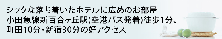 シックな落ち着いたホテルに広めのお部屋 小田急線新百合ヶ丘駅(空港バス発着)徒歩1分、町田10分・新宿30分の好アク 
セス
